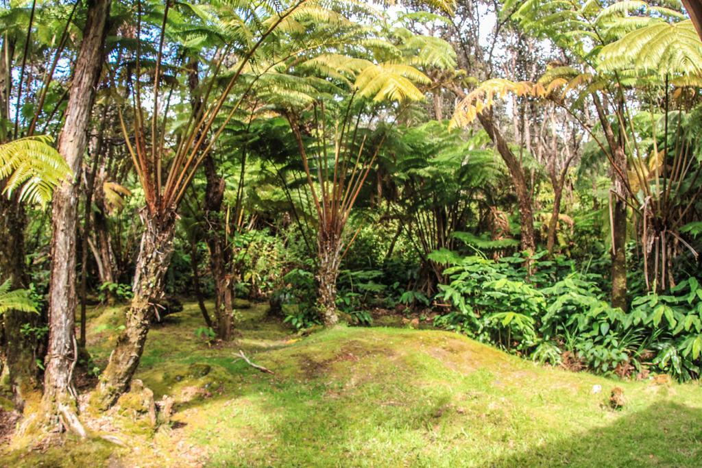 Volcano Village Lodge Bilik gambar