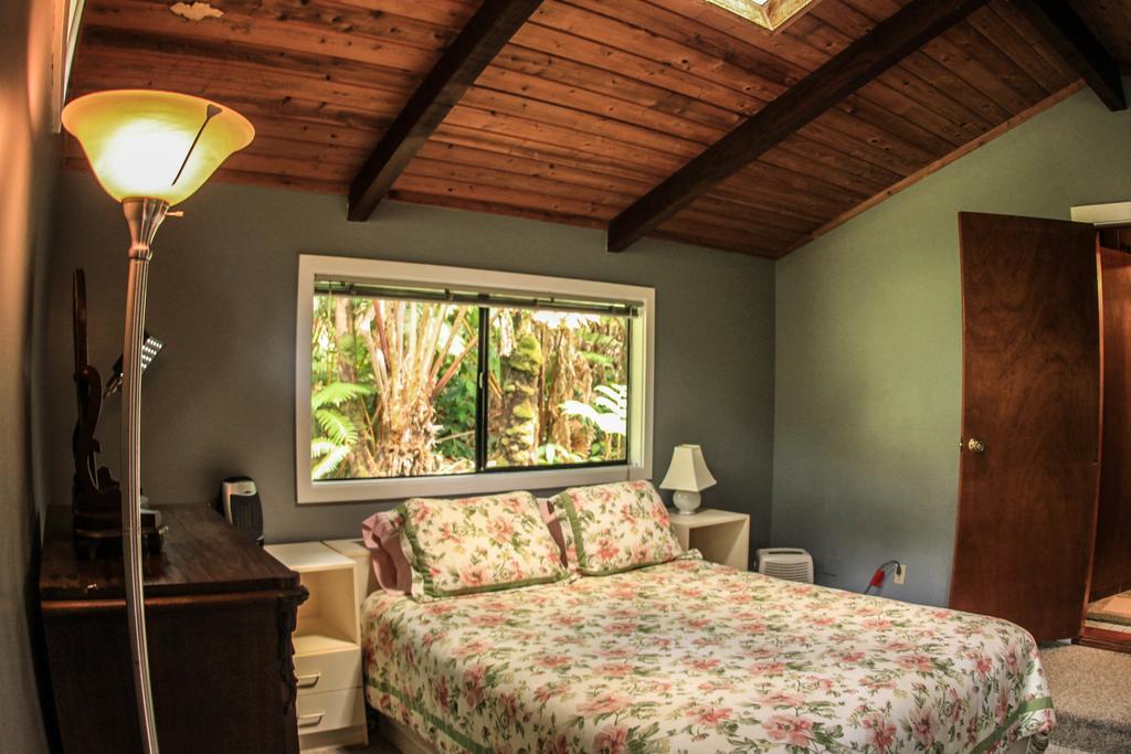 Volcano Village Lodge Bilik gambar
