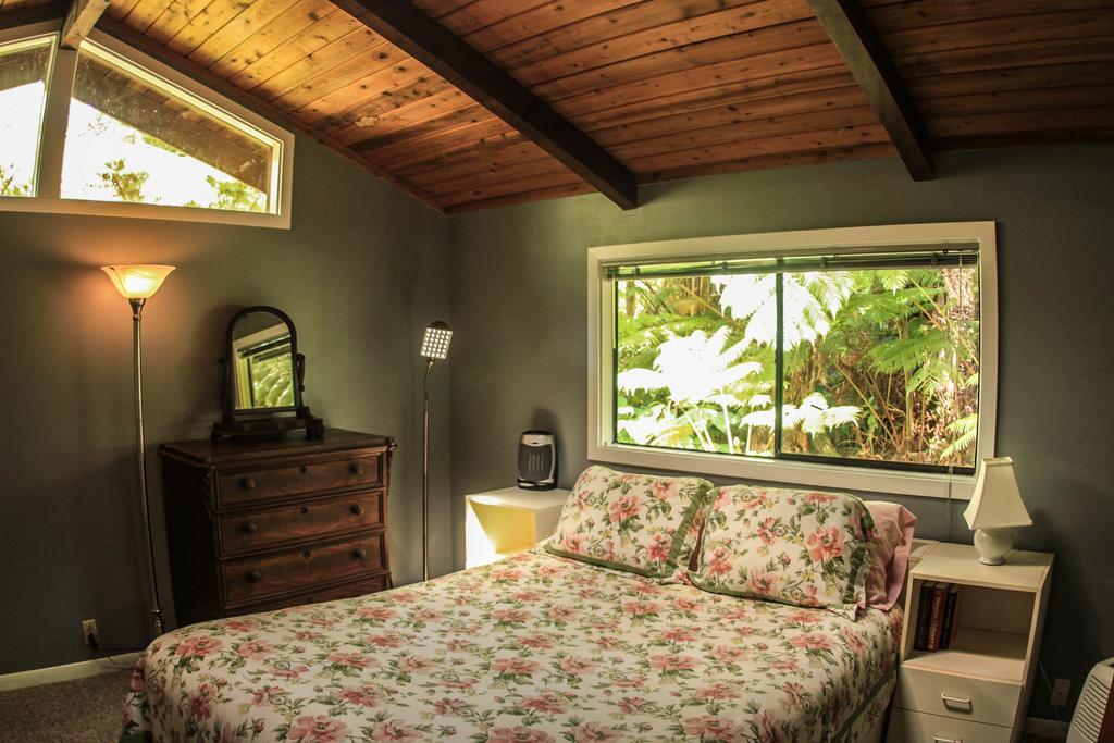 Volcano Village Lodge Bilik gambar