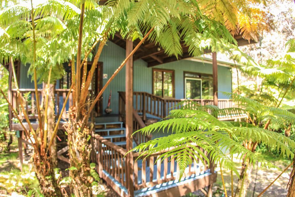 Volcano Village Lodge Bilik gambar
